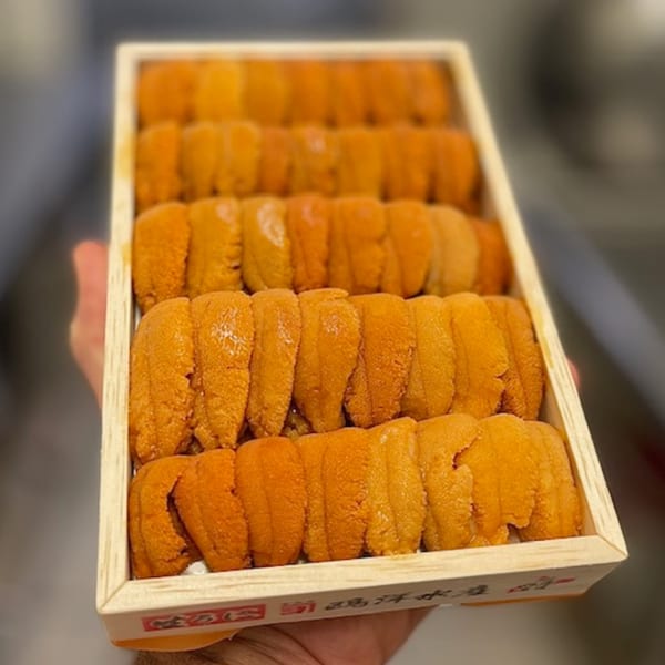 A hand holds a wooden box filled with rows of bright orange uni (sea urchin roe).
